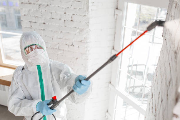 Best Mold Prevention Services  in Loma Ri, CA